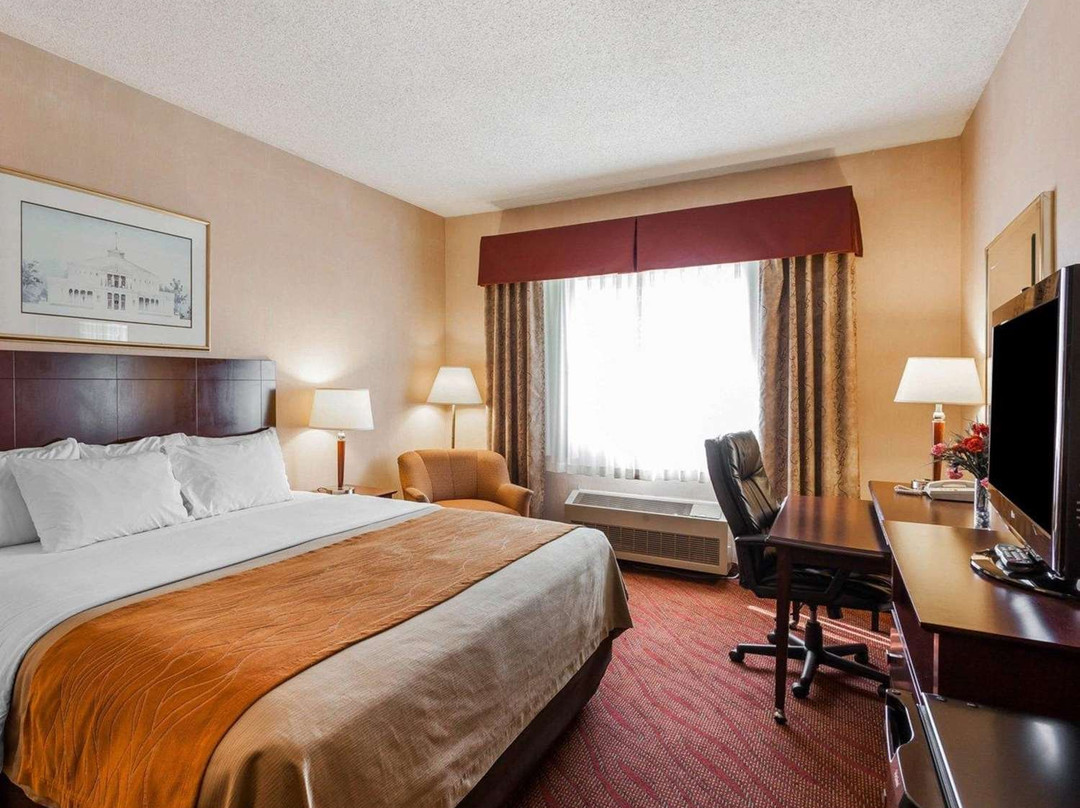 Comfort Inn & Suites Kelso - Longview主图