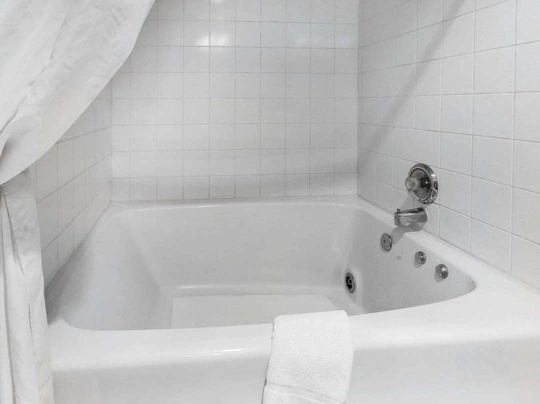 Comfort Inn & Suites Kelso - Longview主图