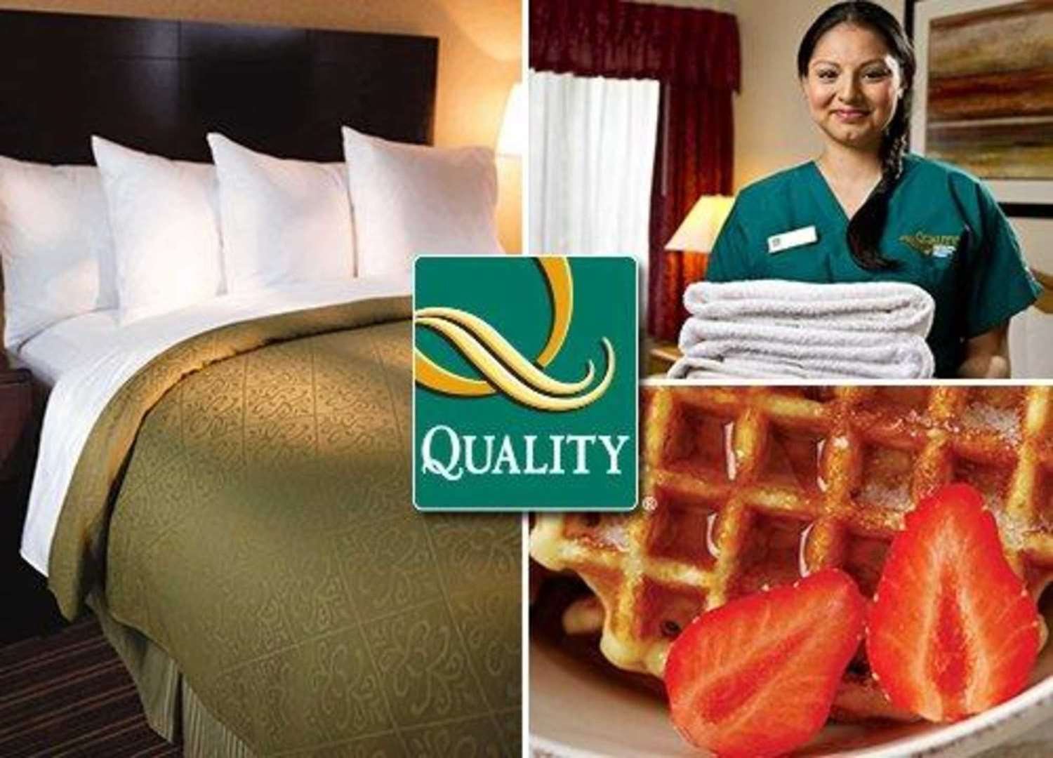 Quality Inn Viha-官方