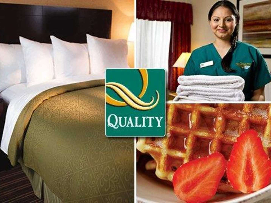 Quality Inn Viha主图