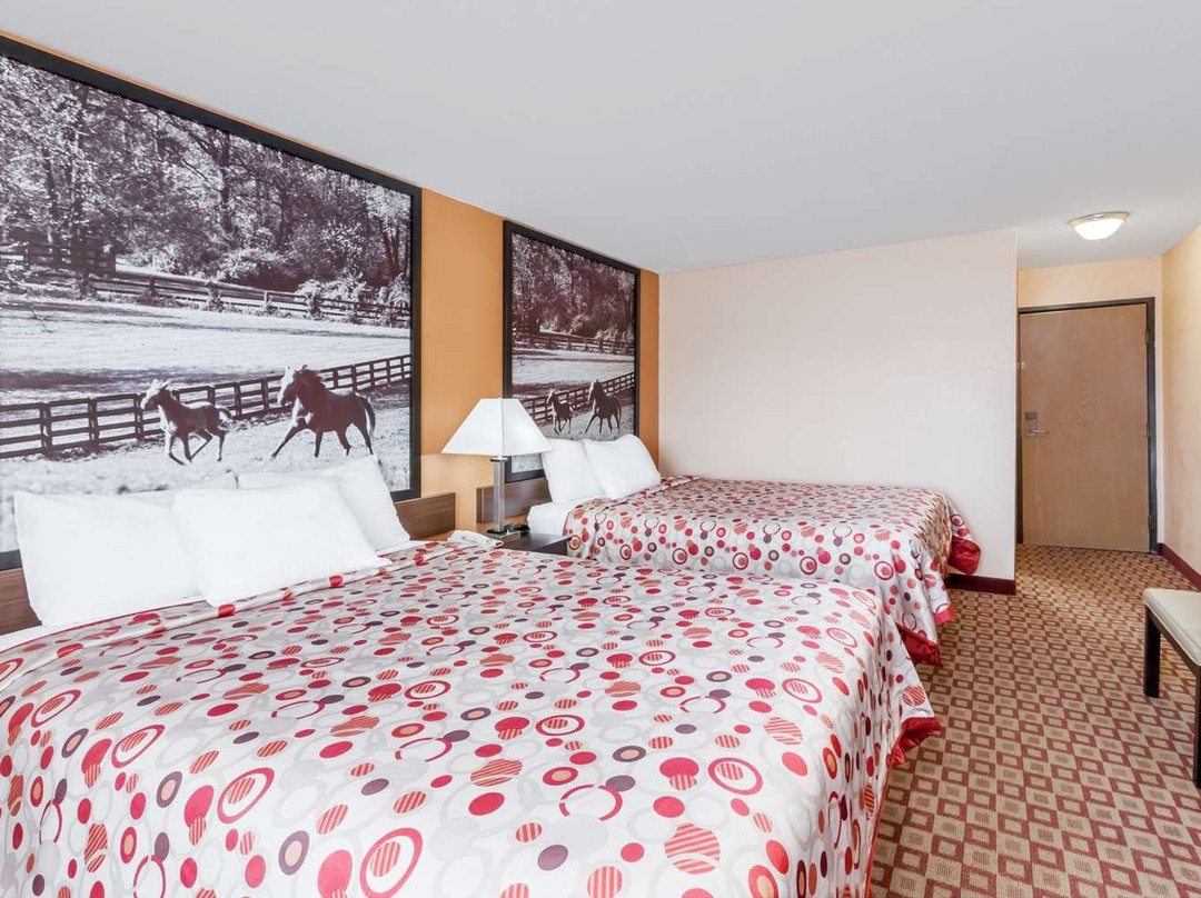 Super 8 South By Wyndham主图