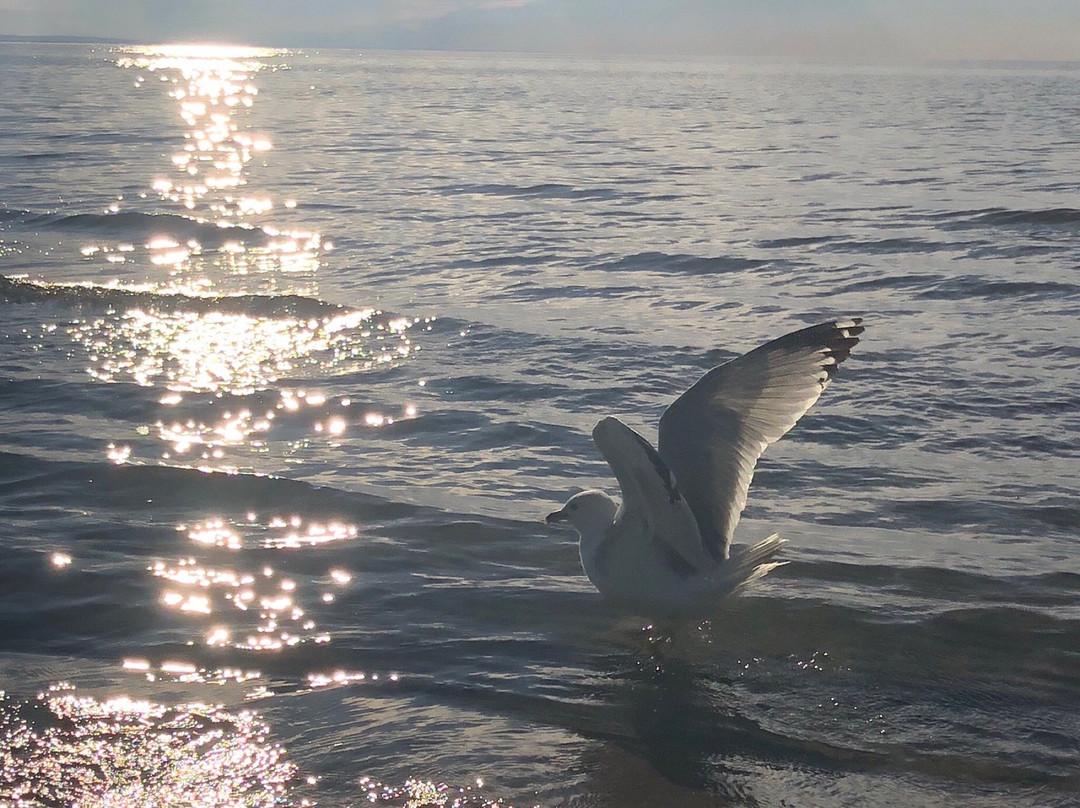 Bayfront Beach Resort主图