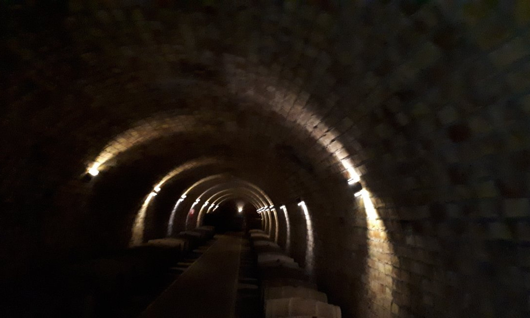 Bodega Suter-圣拉斐尔必去景点