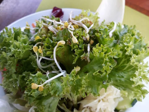 Restaurant die Insel主图