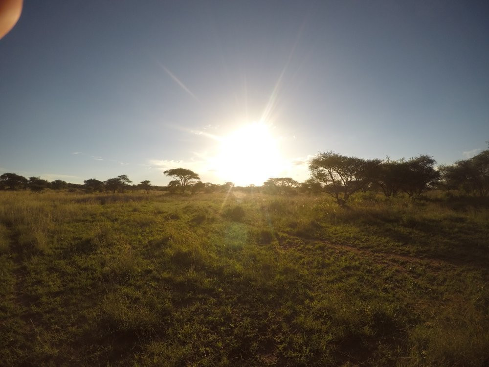 Polokwane Game Reserve-波罗关必去景点