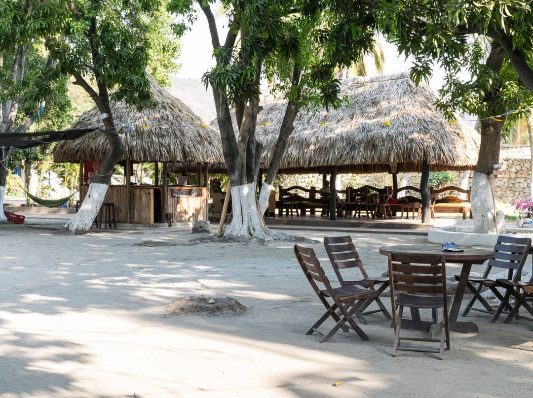 Chimila Hostel & Camping