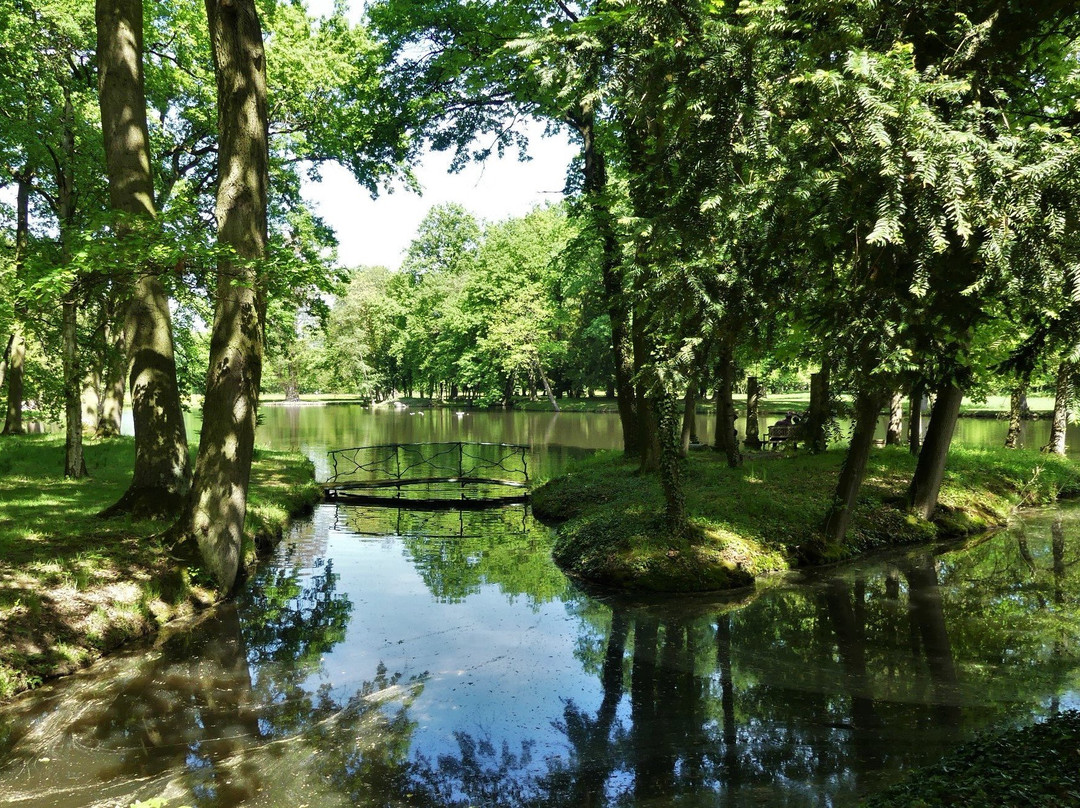 Parc de Schoppenwihr景点图片