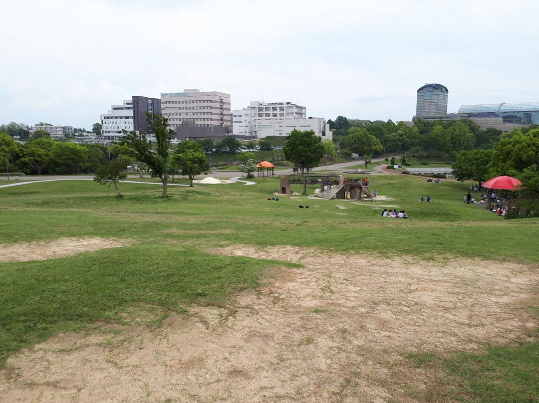 Aichi Fitness Forest Park景点图片