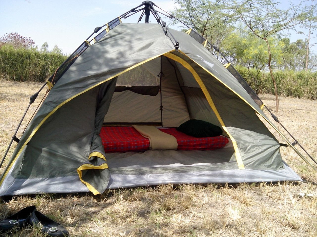 AFRICAN DIURNAL SAFARIS & TOURS-姆万扎必去景点