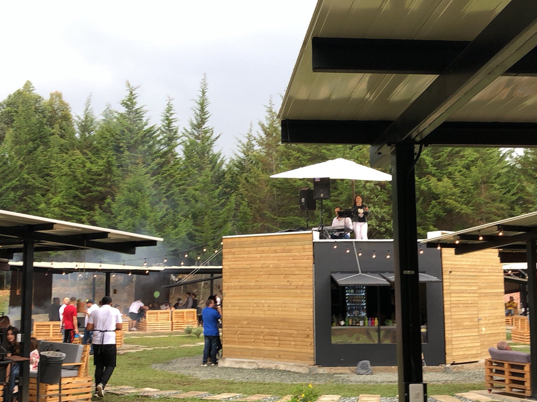 Búho Parrilla entre Pinos