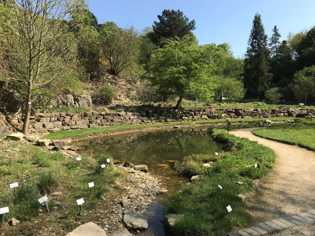 Botanischer Garten der Universität Osnabrück景点图片