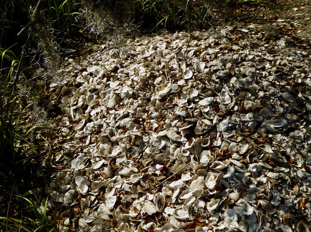Indian Mound Trail景点图片