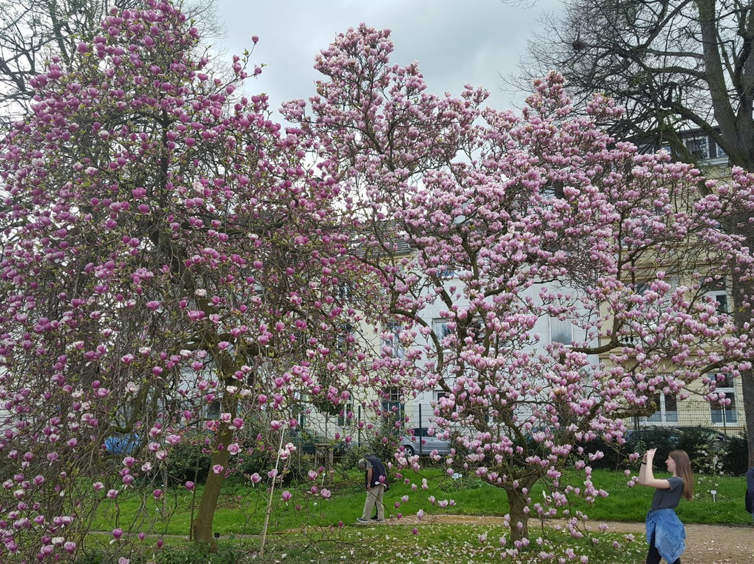 Botanical Garden, Bonn景点图片