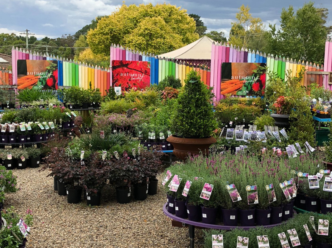 Hill Top旅游景点-Mittagong Garden Centre