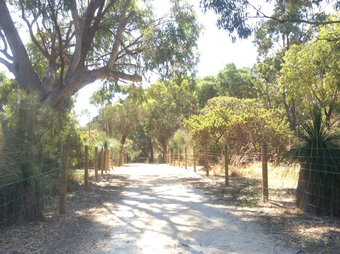 Star Swamp Bushland Reserve景点图片