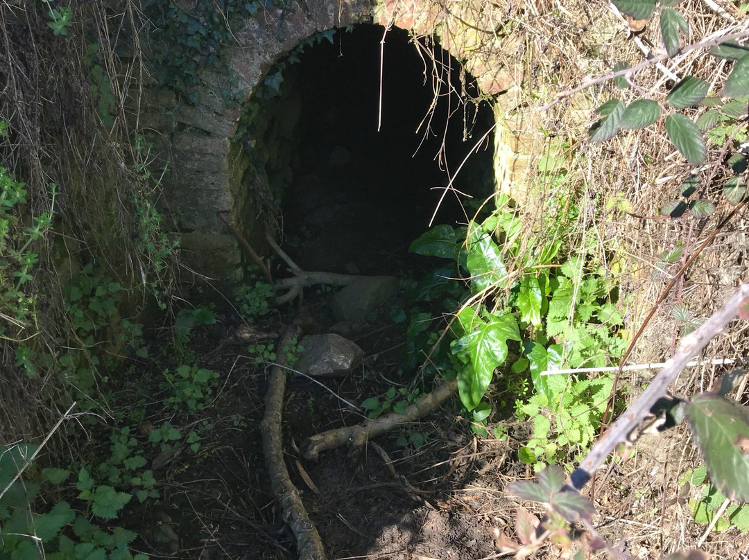 Volca de la Crosa-Sant Dalmai必去景点