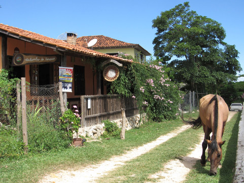 Quilombo do Rosario主图