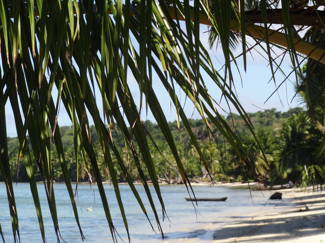 Hotel Club Paradise主图