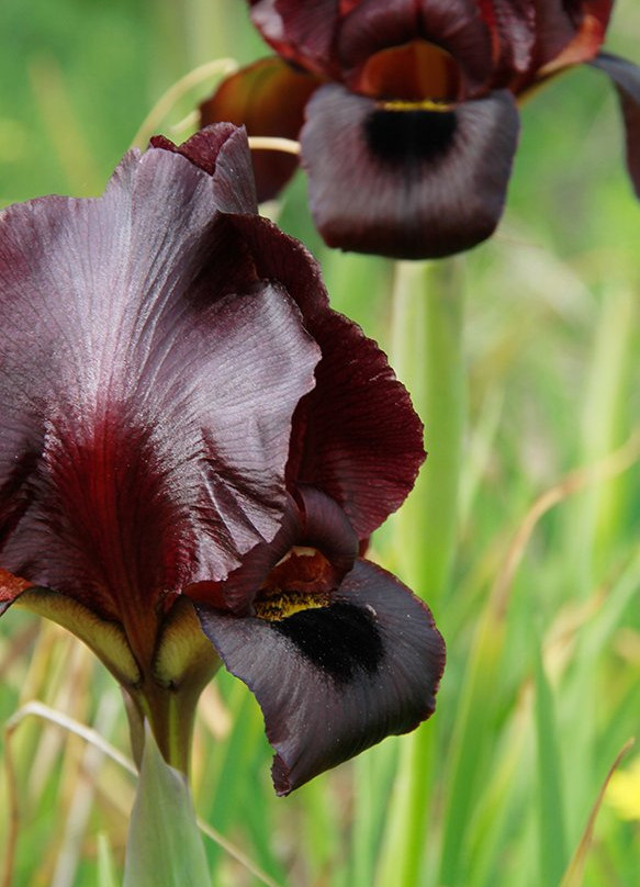 Planetanya Netanya Israel-Netanya必去景点