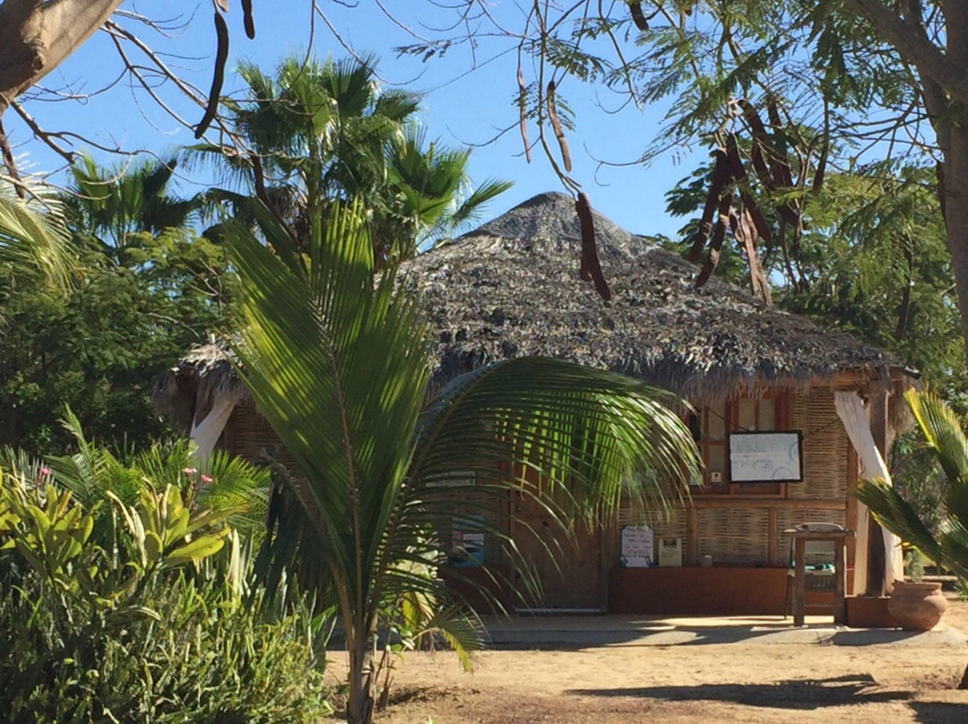 The Joy of Floating-佩斯卡德罗必去景点