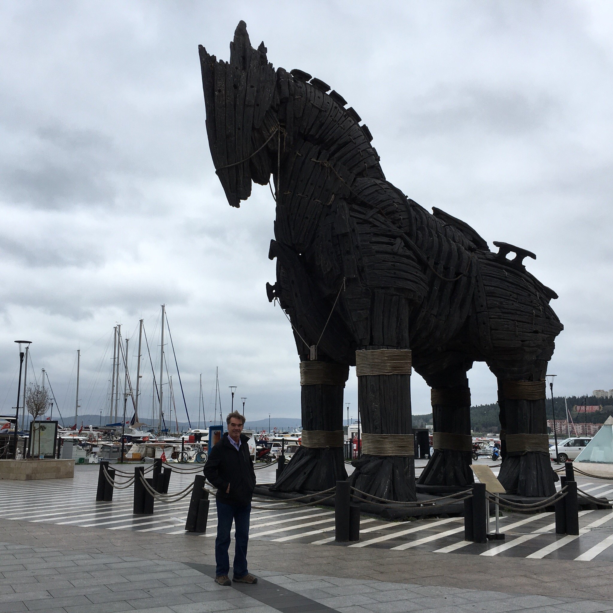 Trojan Horse-官方