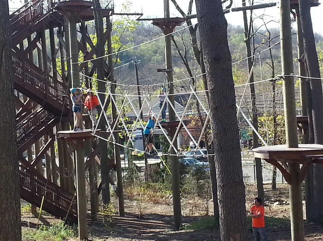 Essex County Treetop Adventure Course景点图片