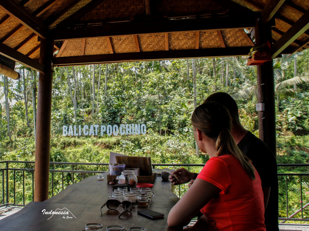 Luwak Civet Coffee Farm景点图片