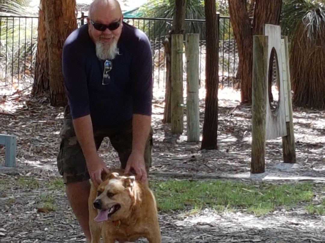 Yarra Vista Dog Park景点图片