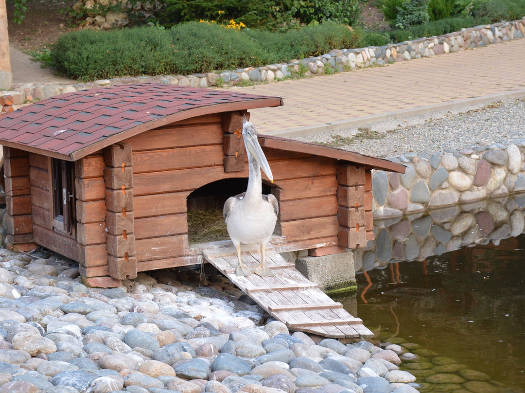 Dakhovskaya Sloboda Hotel主图