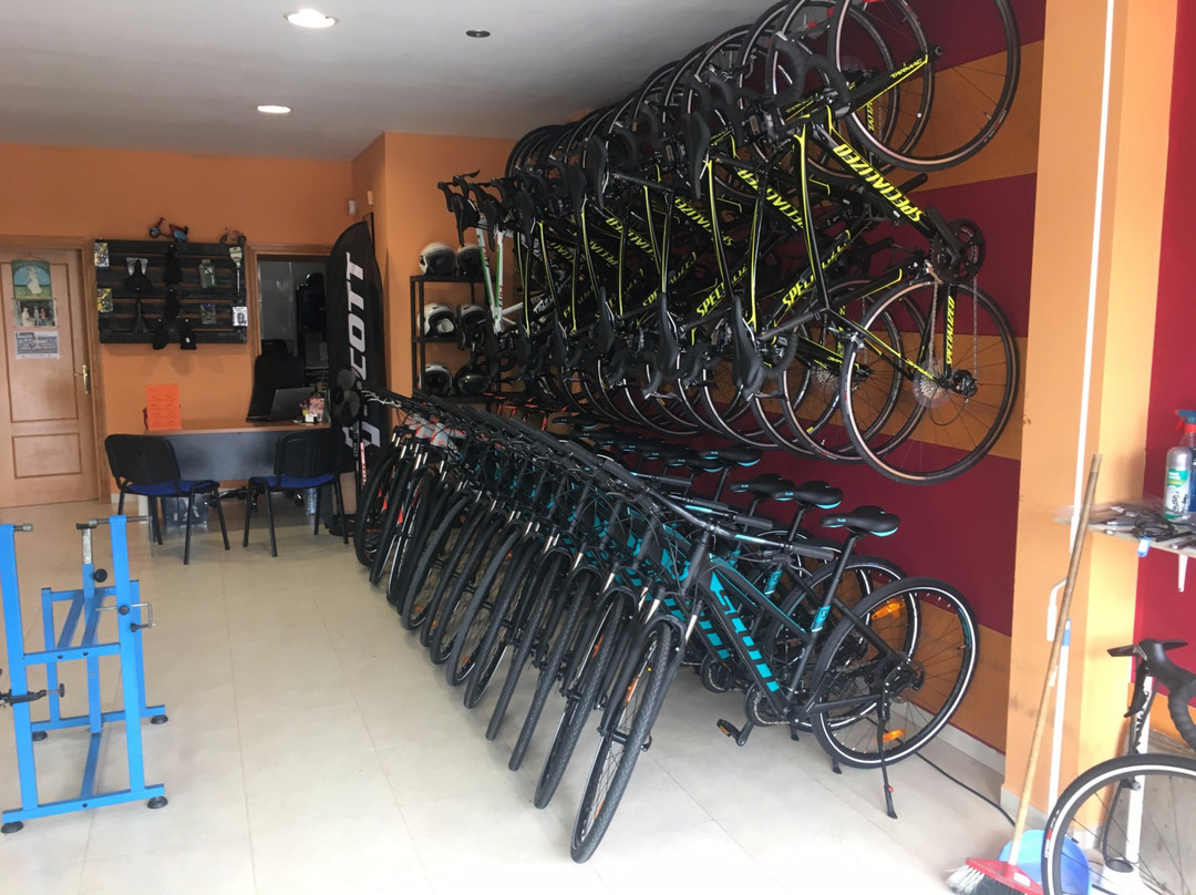 Ciclos Mora景点图片