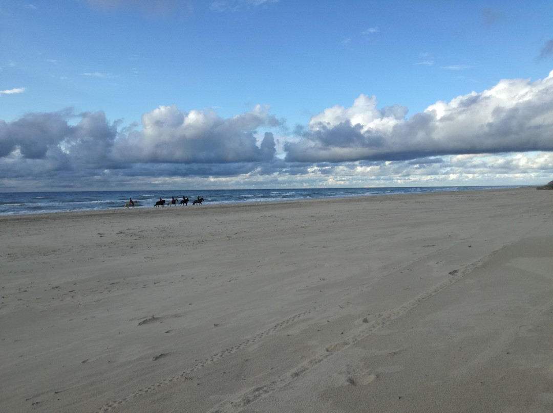 Rødhus Camping