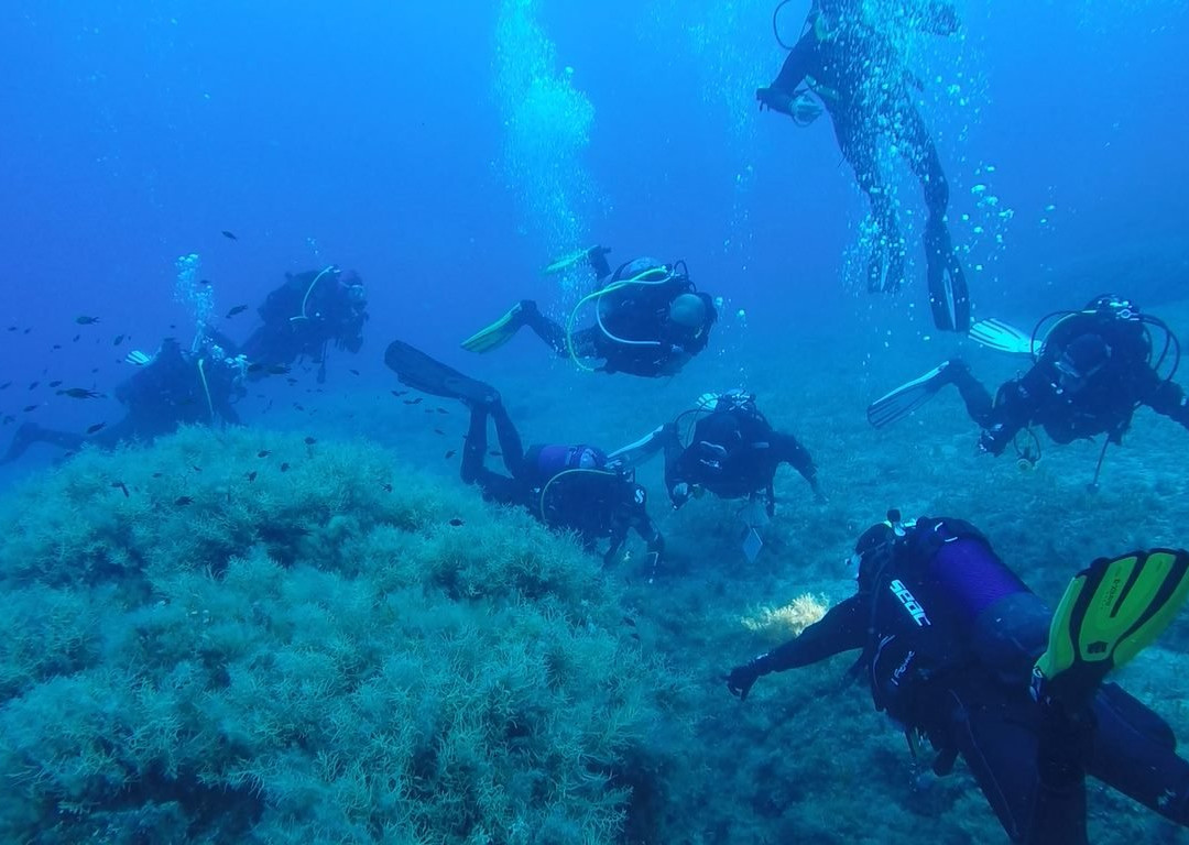 Dive Mode-弗拉斯卡蒂必去景点