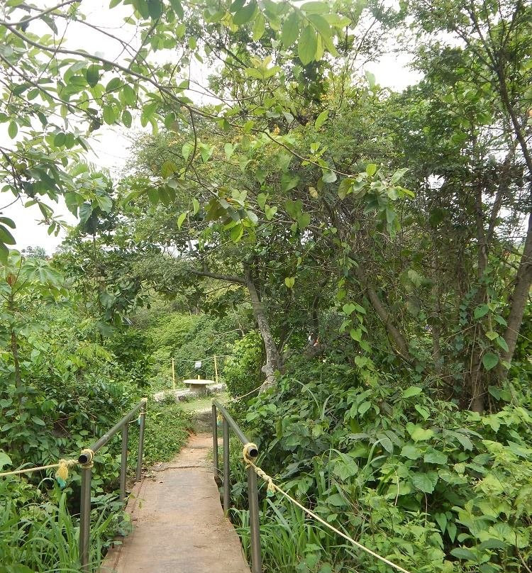 Itamatamirim Park-Vitoria de Santo Antao必去景点