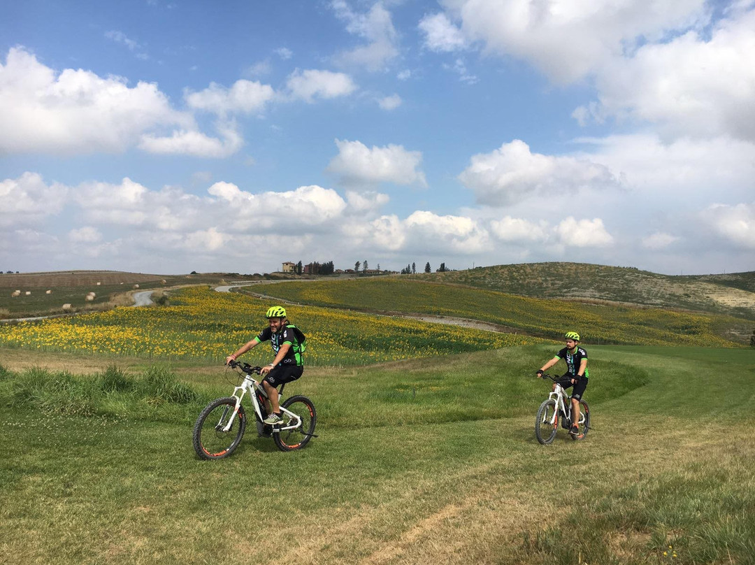 Biking Tuscany Tour景点图片