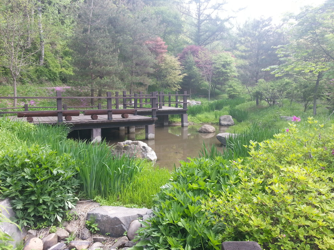 Midongsan Arboretum-清州市必去景点