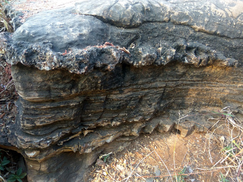 Robertsganj旅游攻略图片