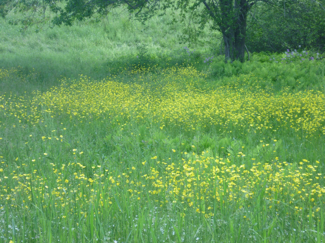 Gilsland Farm Audubon Center景点图片