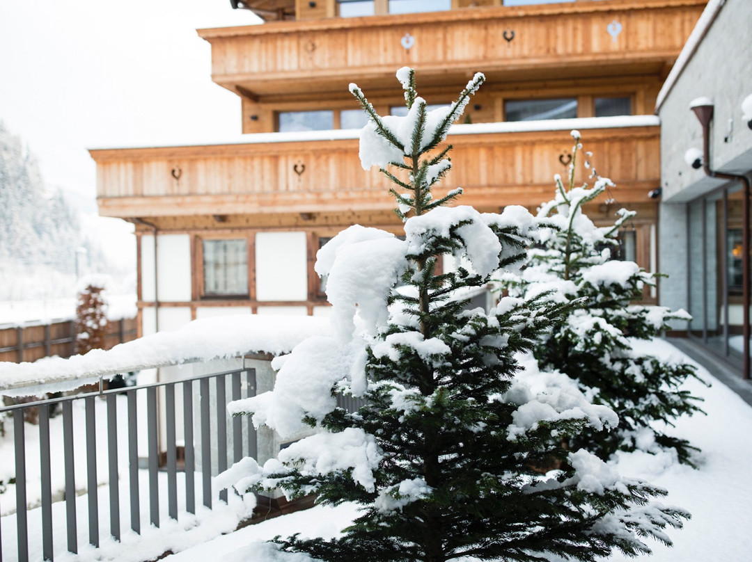 Elisabeth Hotel Premium Private Retreat主图