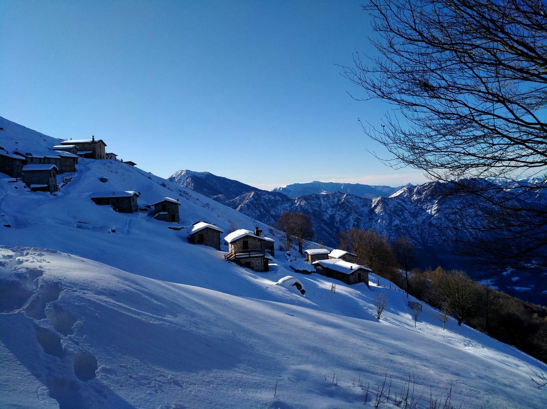 Per Piazzo旅游攻略图片