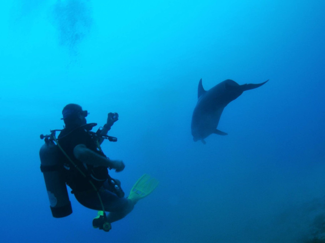 Out of the Blu-Modiin必去景点