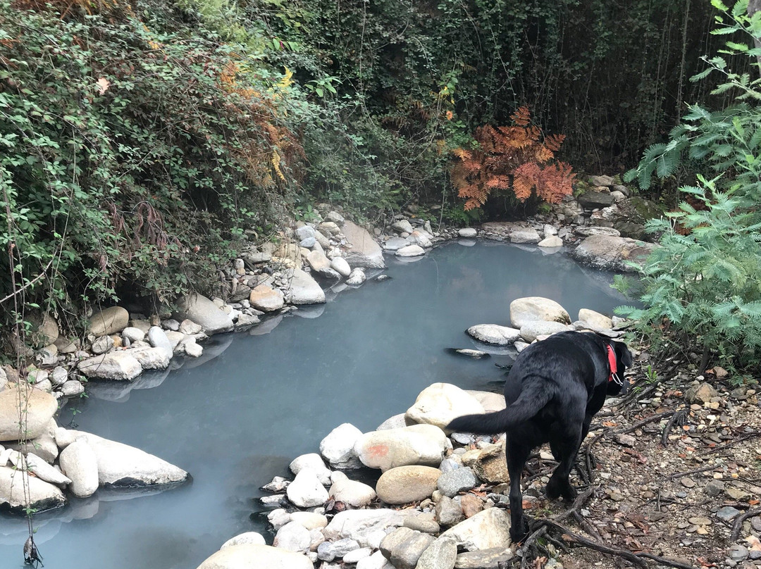 Termas Prexigueiro景点图片