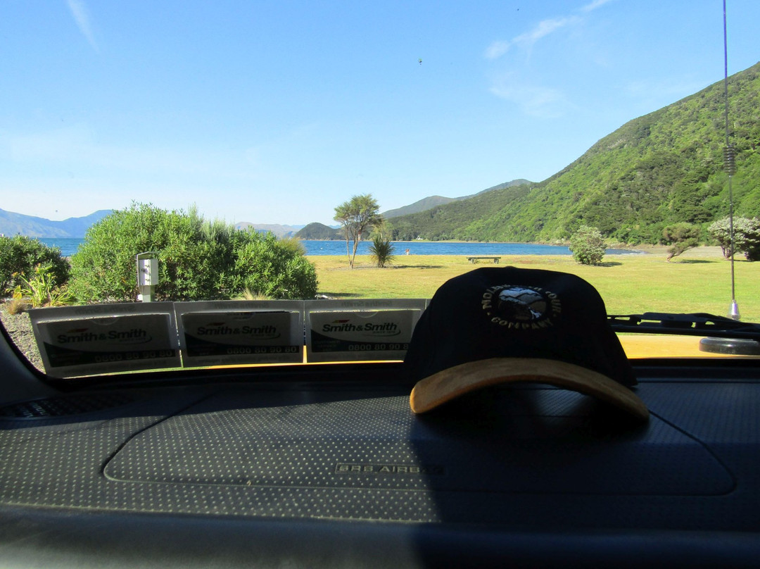 Molesworth High Country Tours-布伦海姆必去景点