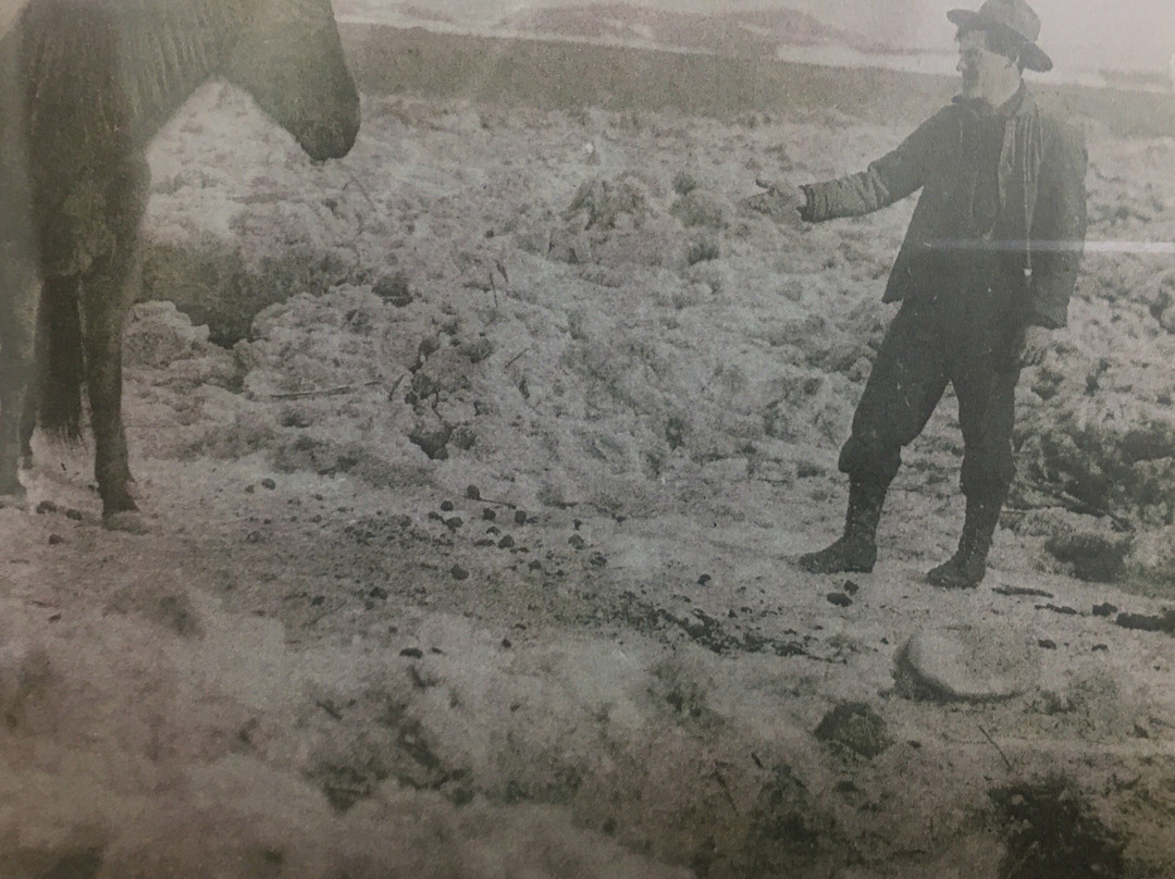 Frontier Gateway Museum-Glendive必去景点