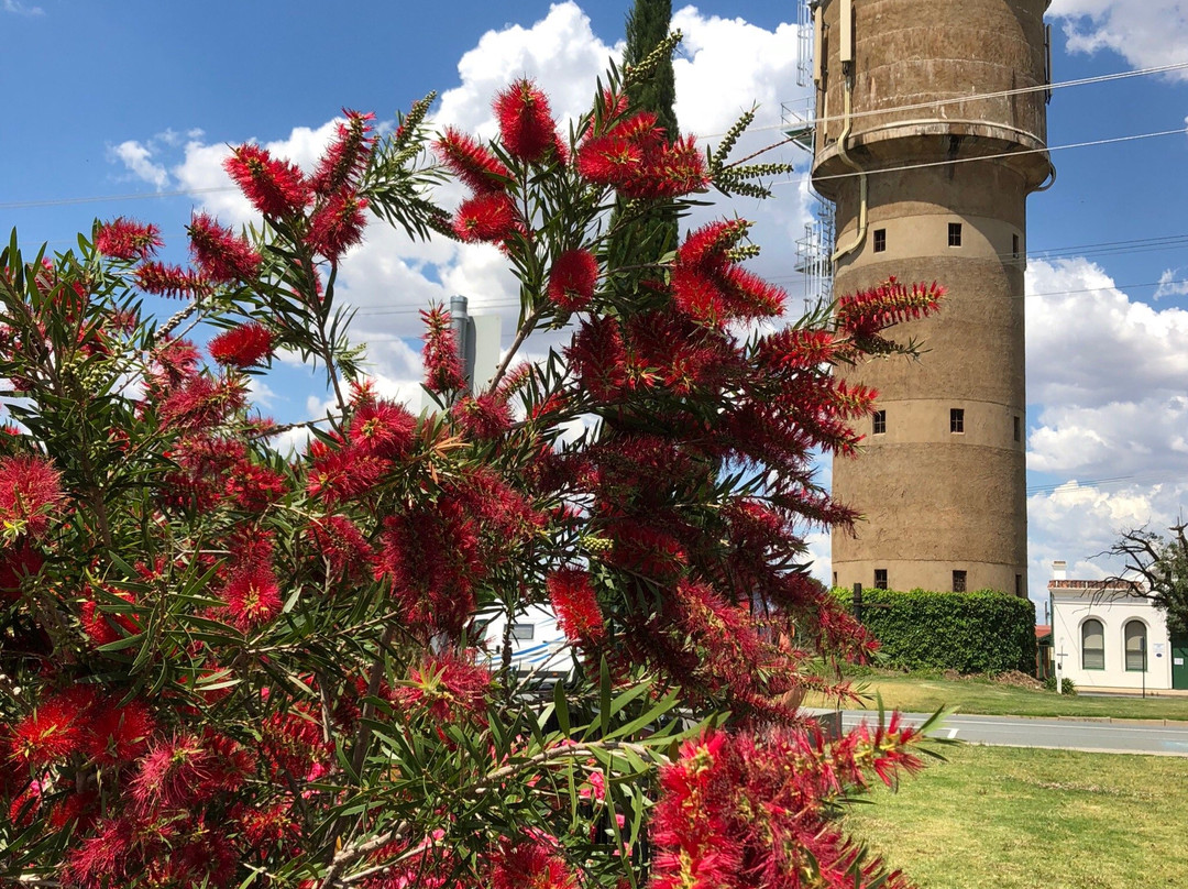 Nagambie旅游攻略图片