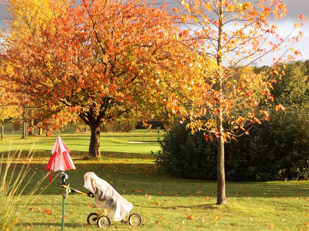 UGOLF: Golf de Gadancourt景点图片