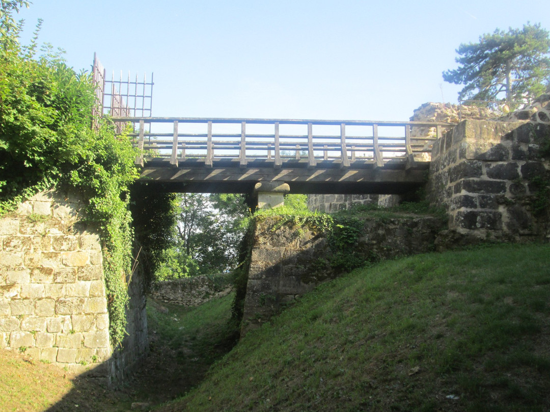 Château de Montlhéry景点图片