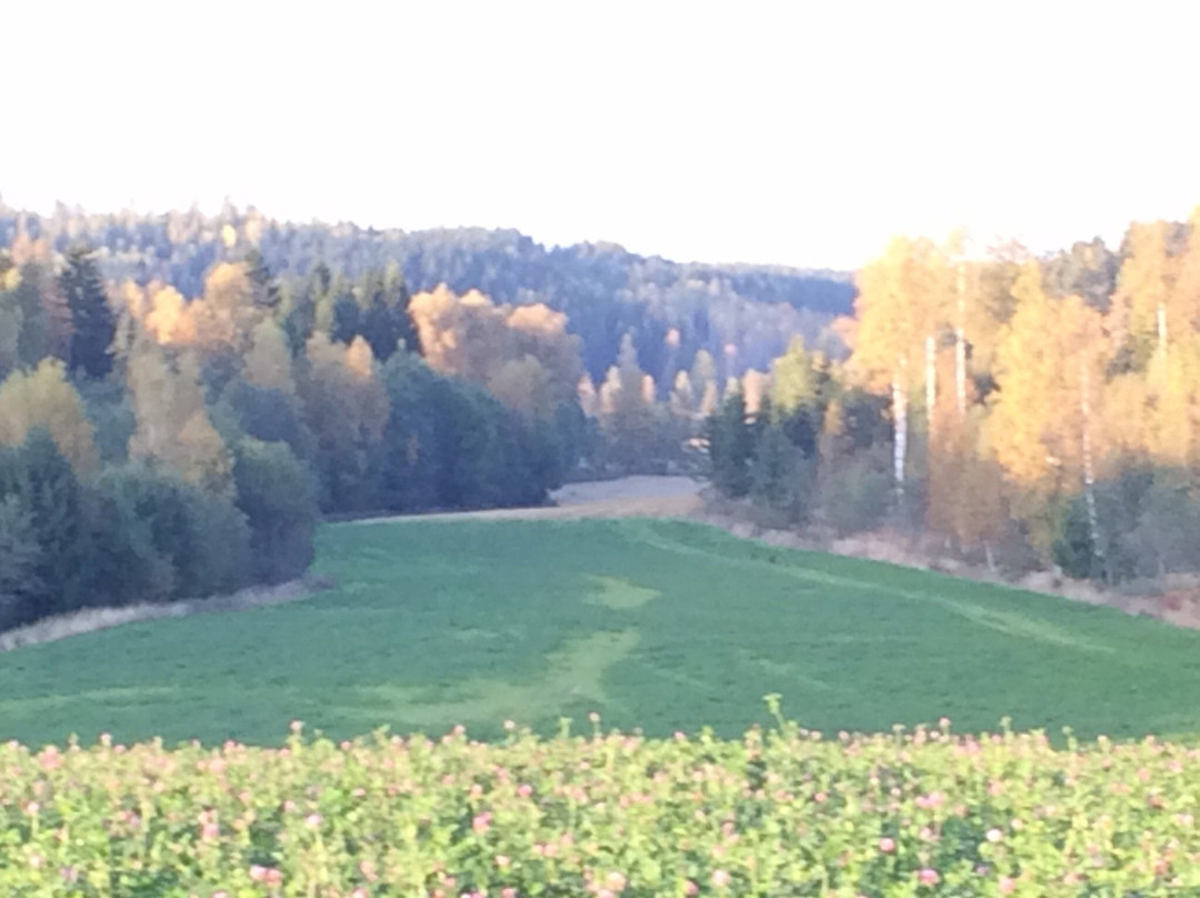 Lohja旅游景点-Kettukallion Elamystila, Kettukallio Farm Experience
