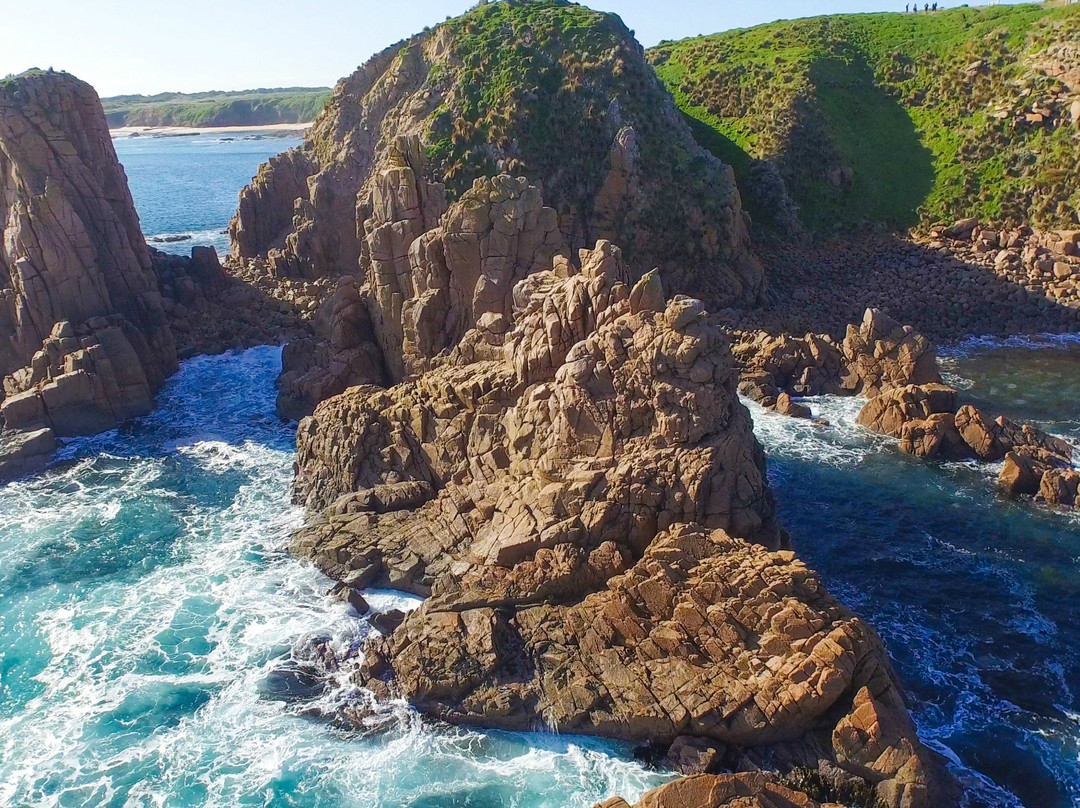 Gippsland旅游攻略图片