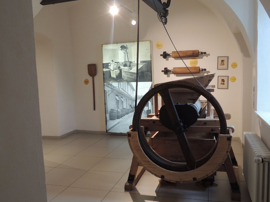 Muzeum Olomouckych Tvaruzku-Lostice必去景点