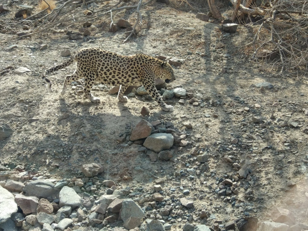 Al Hefaiyah Mountain Conservation Centre-Kalba必去景点